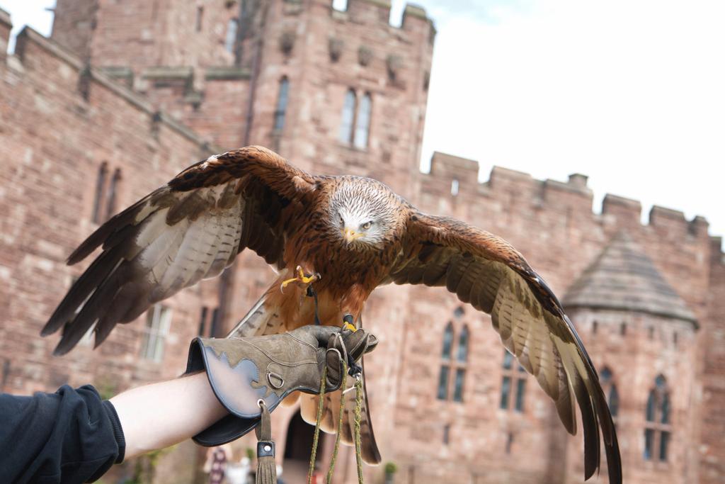 Peckforton Castle Hotel Tarporley Exterior photo